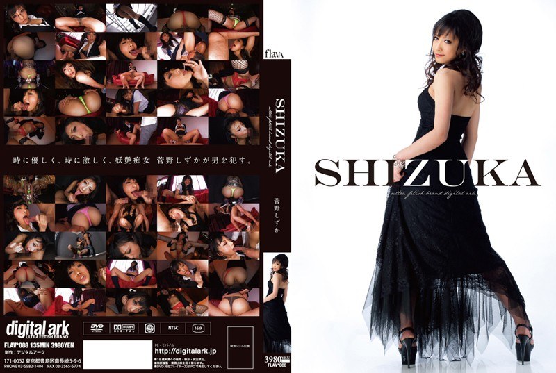 FLAV-088 SHIZUKA