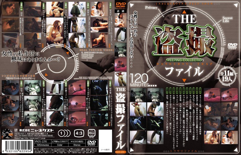 VNDS-2295 THE盗撮ファイル