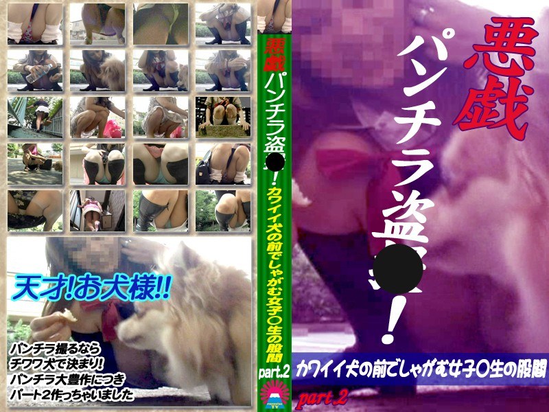 PARAT-899 悪戯パンチラ盗○！～カワイイ犬の前でしゃがむ女子○生の股間 Part.2