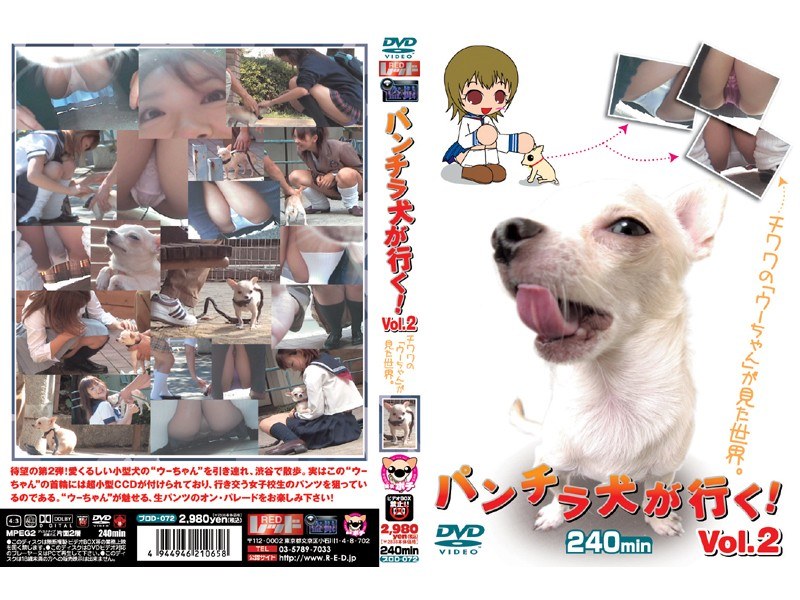 PUROD-072 パンチラ犬が行く！ Vol.2